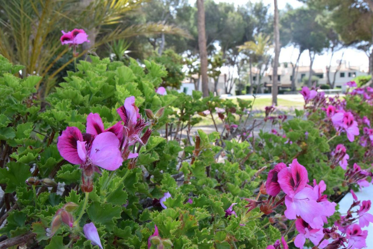 Apartment Brisas I & Ii Cala'N Bosch (Menorca)